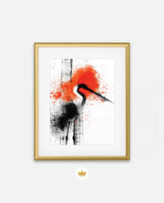 Crane Splash
