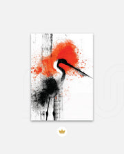 Crane Splash