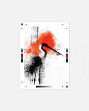 Crane Splash