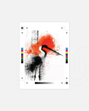Crane Splash