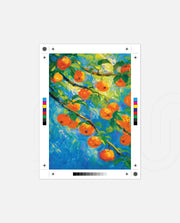 Orange Bloom