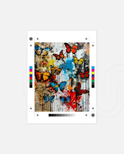 Color Flight