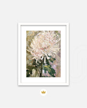 Blush Chrysanthemum