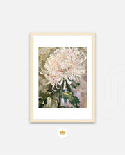 Blush Chrysanthemum