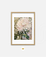 Blush Chrysanthemum