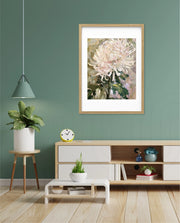 Blush Chrysanthemum