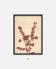 Crimson Berry Stem