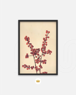 Crimson Berry Stem