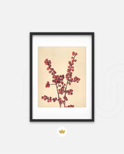 Crimson Berry Stem