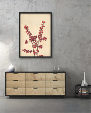 Crimson Berry Stem