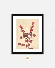 Crimson Berry Stem