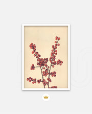 Crimson Berry Stem