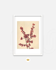 Crimson Berry Stem