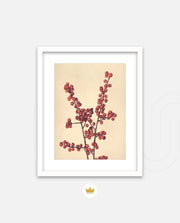Crimson Berry Stem