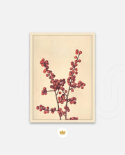 Crimson Berry Stem