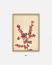 Crimson Berry Stem
