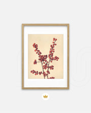 Crimson Berry Stem