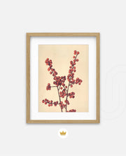Crimson Berry Stem