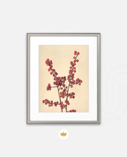Crimson Berry Stem