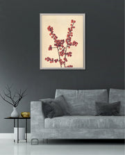 Crimson Berry Stem