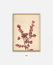 Crimson Berry Stem