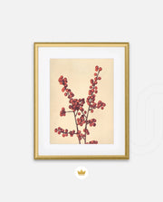 Crimson Berry Stem