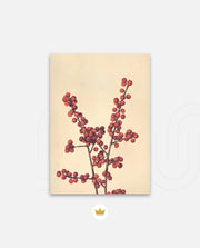 Crimson Berry Stem