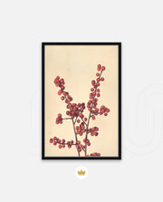 Crimson Berry Stem