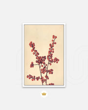Crimson Berry Stem