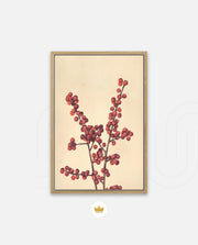 Crimson Berry Stem