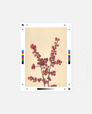 Crimson Berry Stem