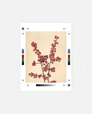 Crimson Berry Stem