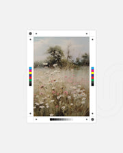 Meadow Bloom