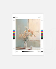 Pastel Window Blooms