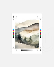 Misty Forest Layers