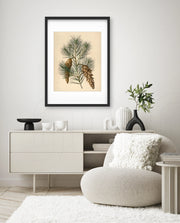 Pine Cone Branch
