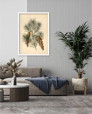 Pine Cone Branch