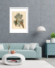 Pine Cone Branch