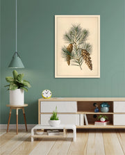 Pine Cone Branch
