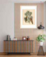 Pine Cone Branch