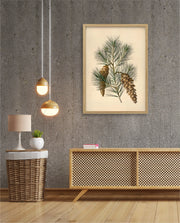 Pine Cone Branch