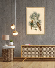 Pine Cone Branch