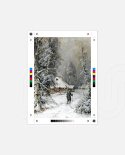 Winter Cabin Path