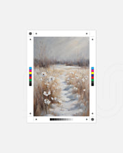 Winter Meadow Path