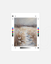 Winter Meadow Path