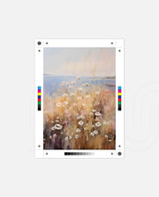 Coastal Field Bloom