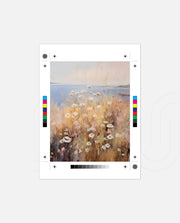 Coastal Field Bloom