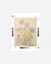 Pastel Garden Daisies