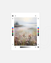 Misty Meadow Lake