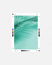 Emerald Palm Glow